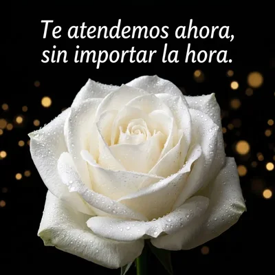 Atención 24 horas - Florería para Velorio